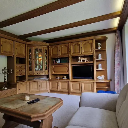 Edeltraud, Fusslaeufig Zum Und 20 Minuten Vom Skigebiet Entfernt * デーブリアッハ